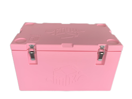 Caixa isolada de cadeia fria para transportador de vacinas