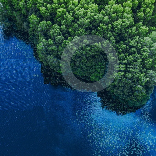 Proteção Ambiental