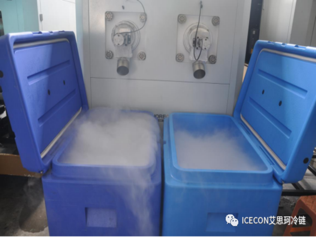 vaccine dry ice storage boxes