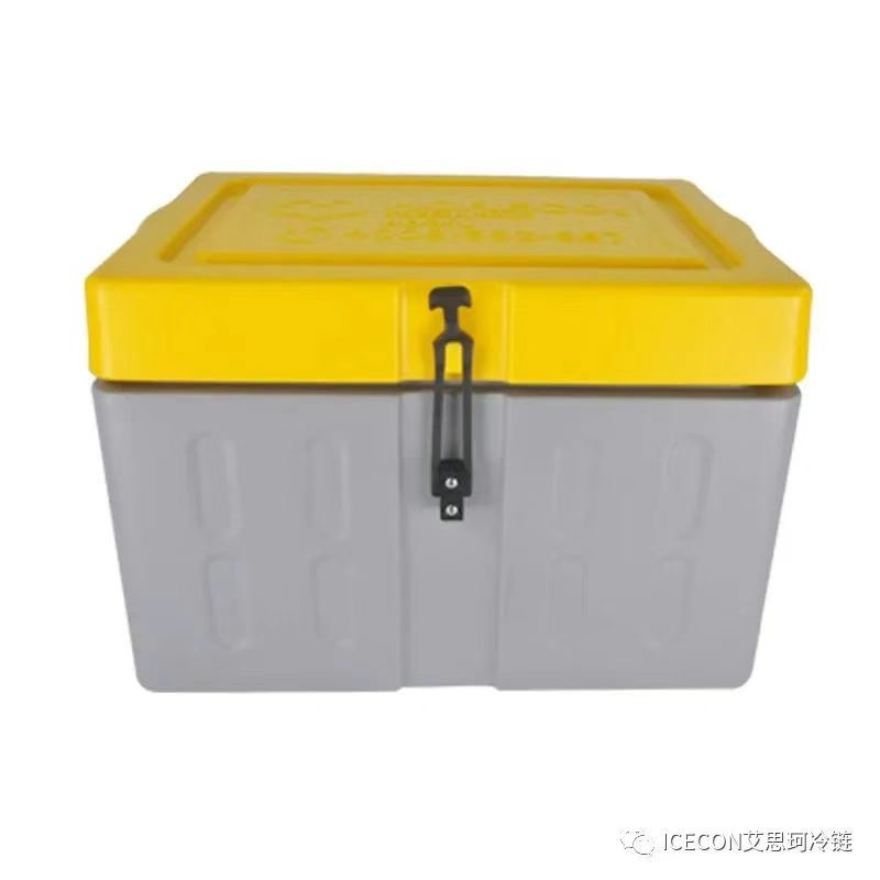 Dry ice delivery container