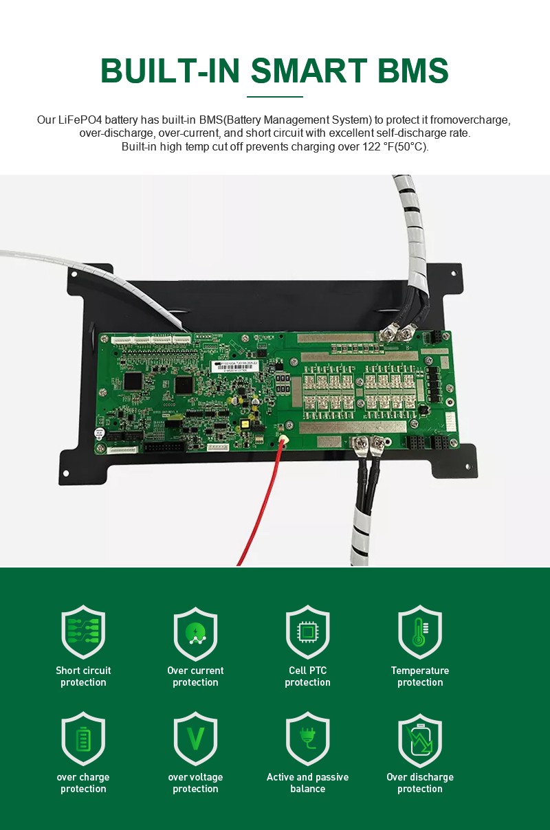 High-Capacity 48V LiFePO4 power Storage