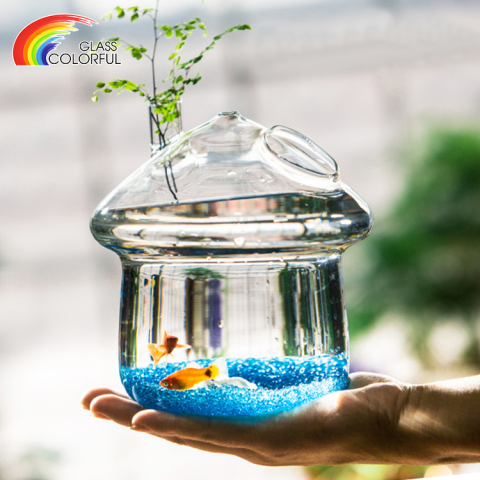 Petits bols à poissons en verre transparent, bol en verre pour aquarium