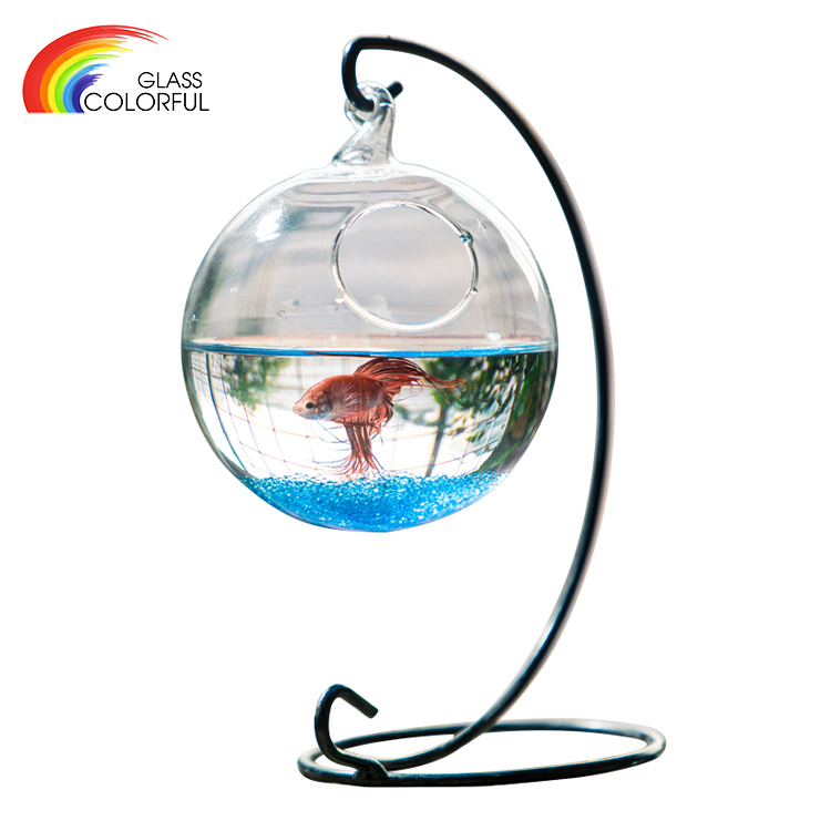 Small Clear Glass Fish Bowls Glass Bowl Fish Tank