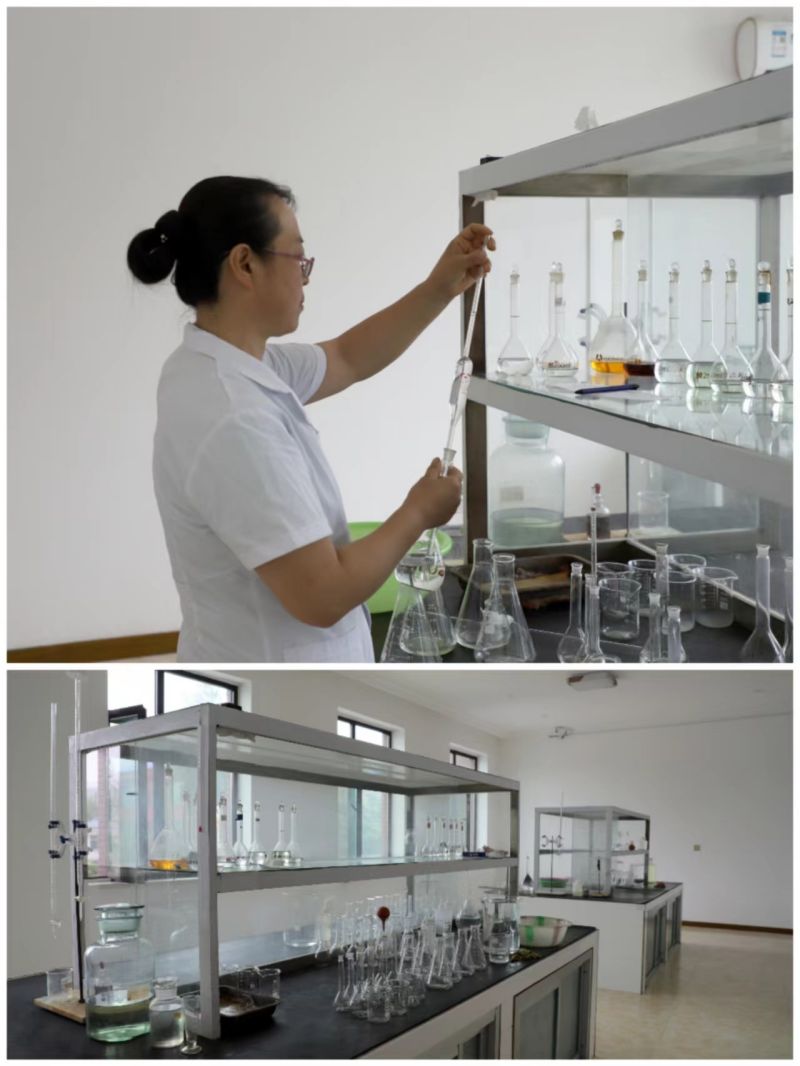 Company Testing Center