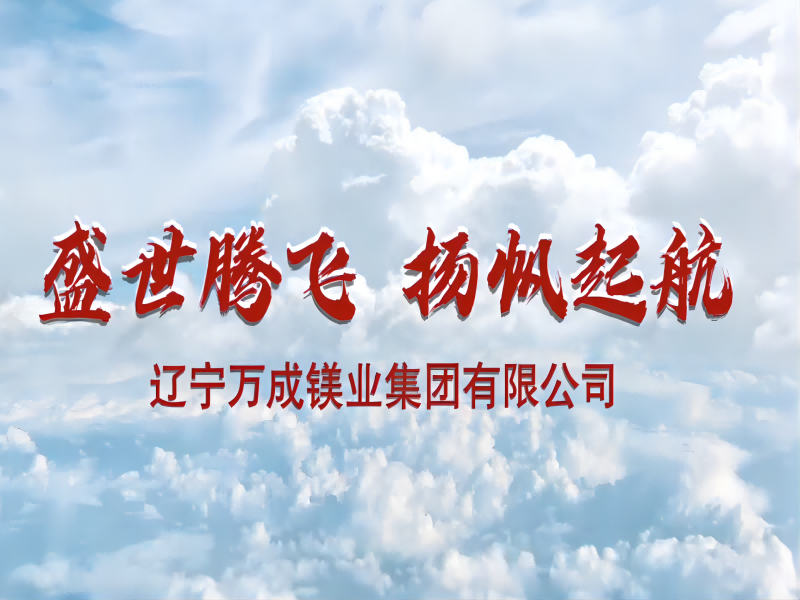 Liaoning Wancheng Magnesium Industry Group Co .Ltd