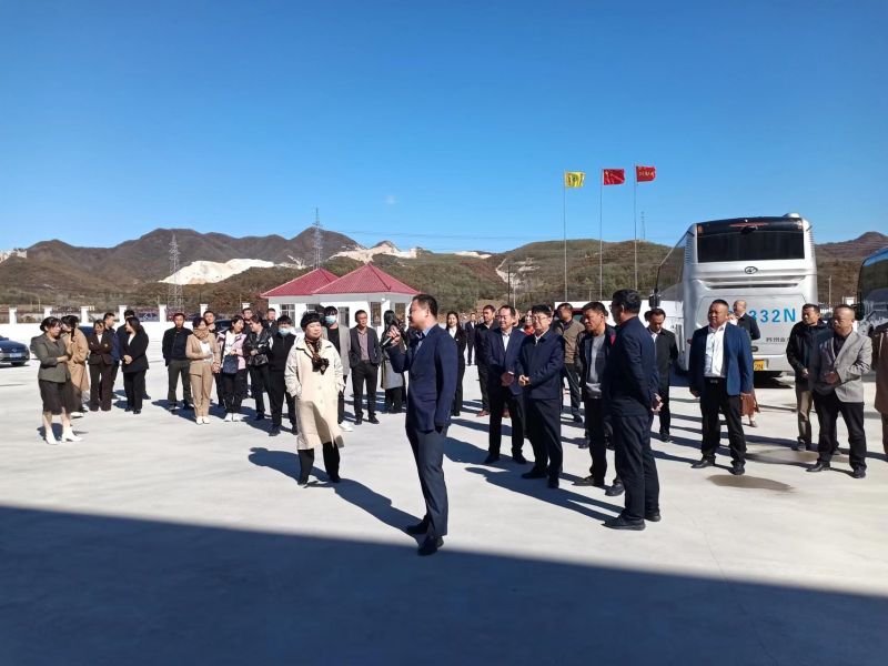 Visit The Construction Of Non-Chromium New Material Production Line