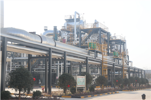 The Production of Plasticizer