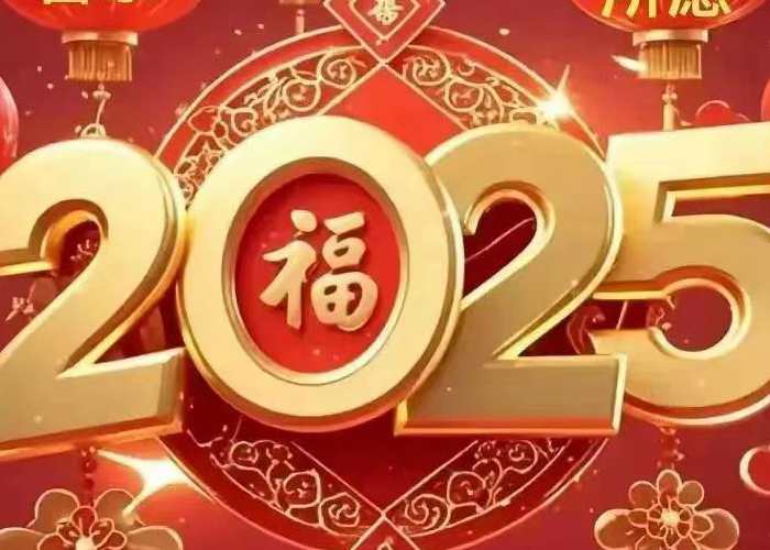 Happy New Year 2025