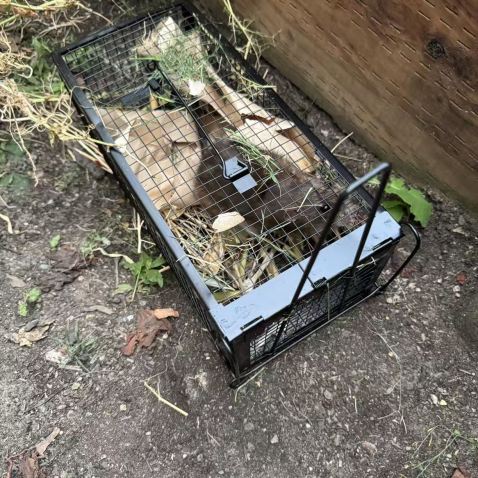 Supply Customizable, Foldable, Suitable For Raccoons, Rabbits, Mice ...