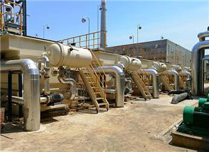 Coal Chemical Dephosphorization and Upgrading