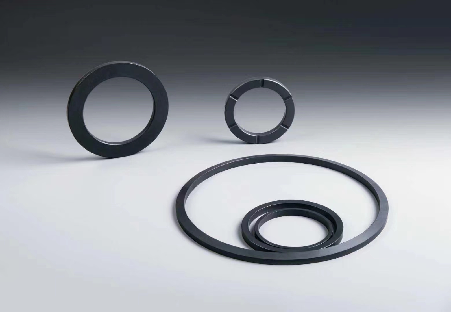 SSIC Sealing Ring