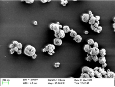 Nano Zirconium Oxide
