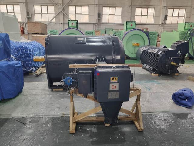 YBF Series High Voltage Flameproof Three-phase Asynchronous Motor For Fan Application (H355 - H1000)