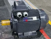 Motor asíncrono trifásico de baja tensión serie YE4 (H80 - H400) IE4
