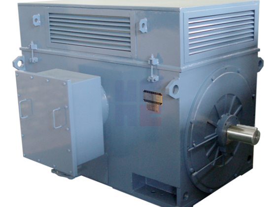 Y Series Of High Voltage Three-phase Asynchronous Motor (H355-H1120)