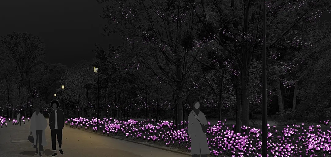 Light Festival Opening