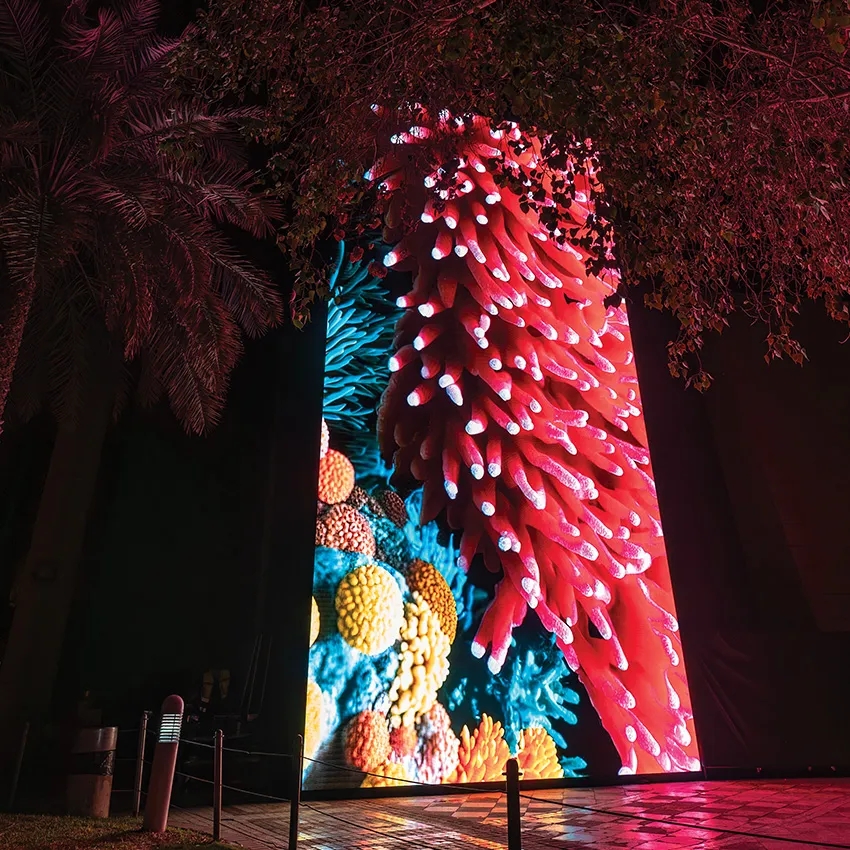 Appreciation of Light Festival Works