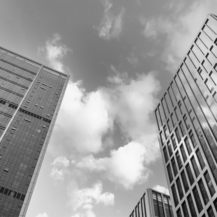 Οι ερευνητές διαπιστώνουν ότι το υπεριώδες φως μπορεί να μειώσει τις συγκρούσεις των πτηνών με κτίρια