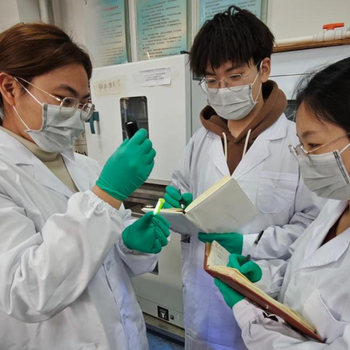 A research team at Zhengzhou University has developed a high-power blue perovskite quantum dot LED using an inserted dipole layer.