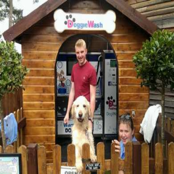 stazione di lavaggio per cani self service