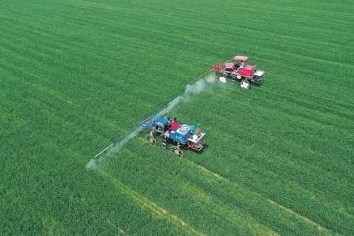 Benzoxazinones are of great value