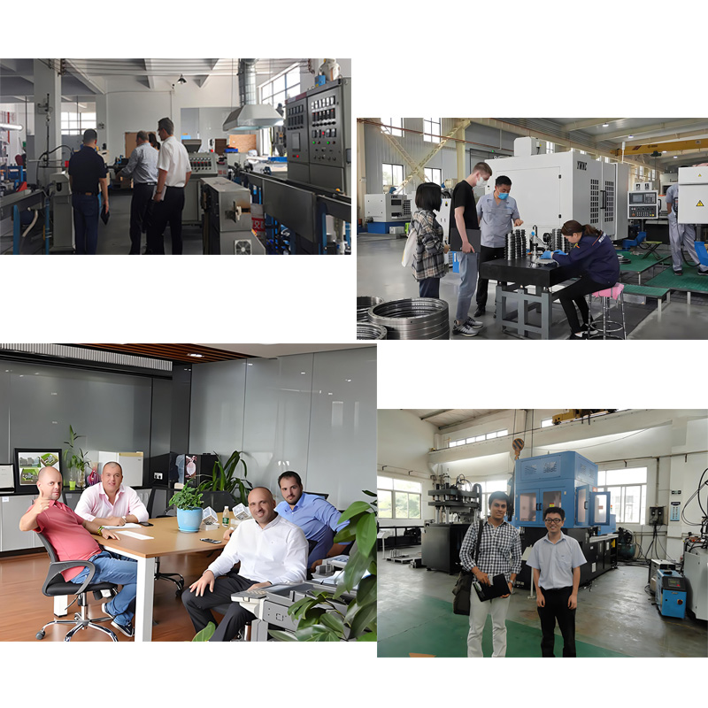 Vizitează clientul AOT în China