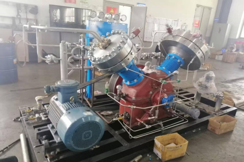 Model GV hydrogen diaphragm compressor exported to India