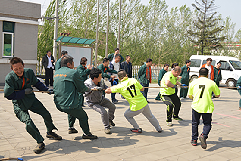 Company Team Building Activities