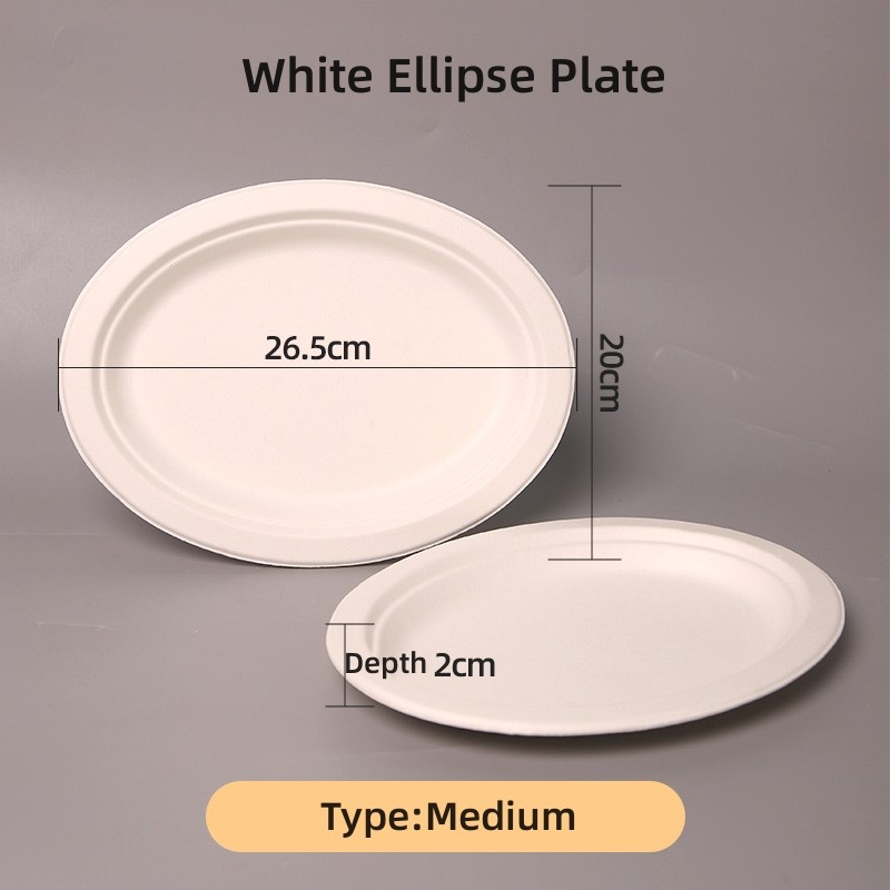 100% biodegradable sugarcane disposable paper plate