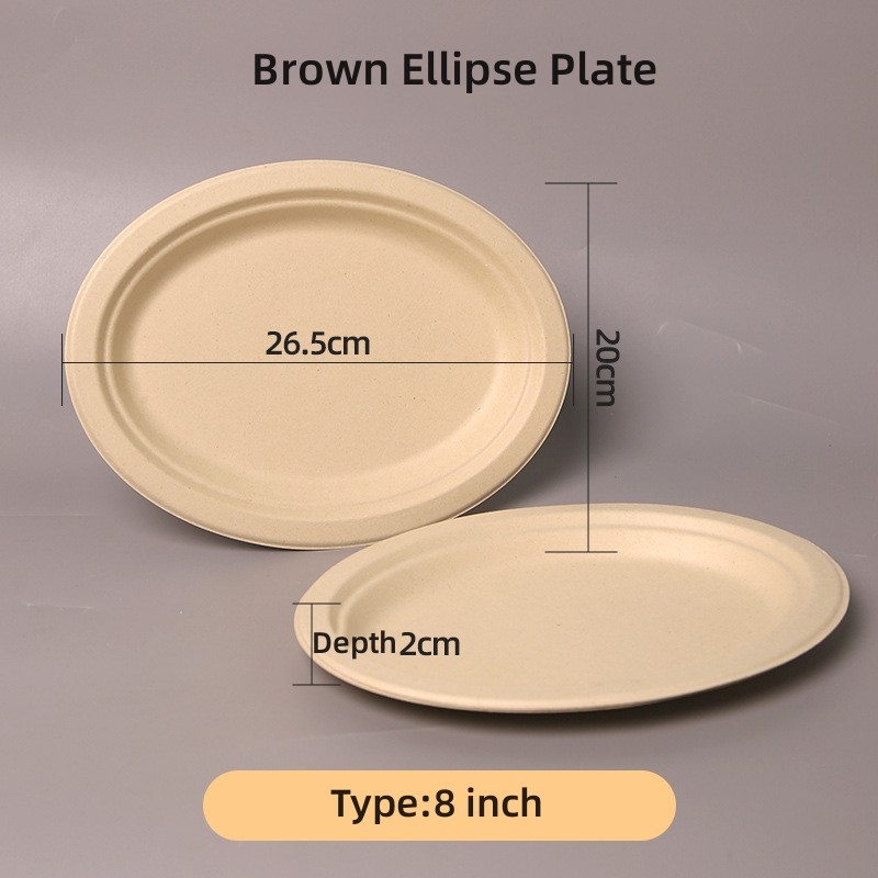 100% biodegradable sugarcane disposable paper plate