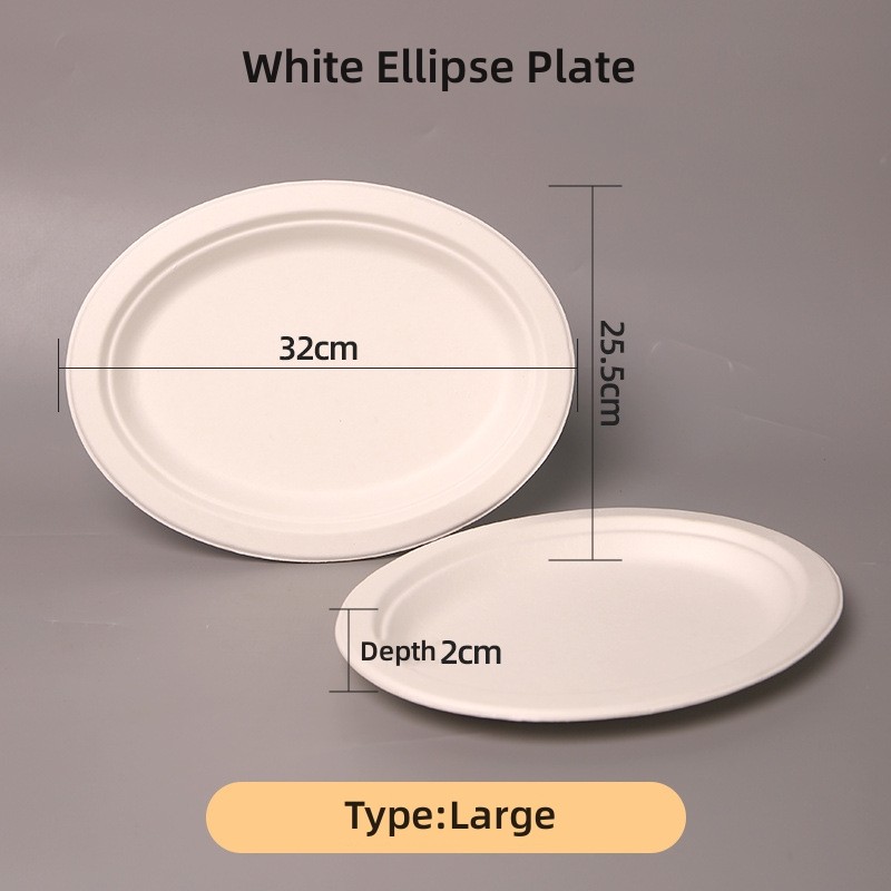 100% biodegradable sugarcane disposable paper plate