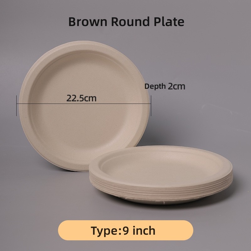 100% biodegradable sugarcane disposable paper plate