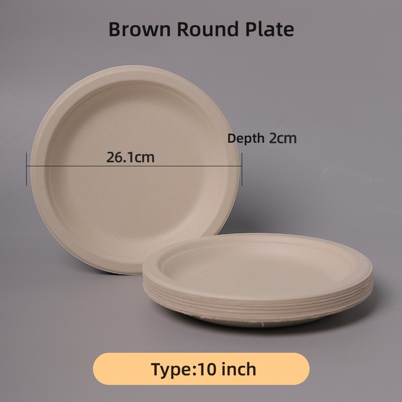 100% biodegradable sugarcane disposable paper plate