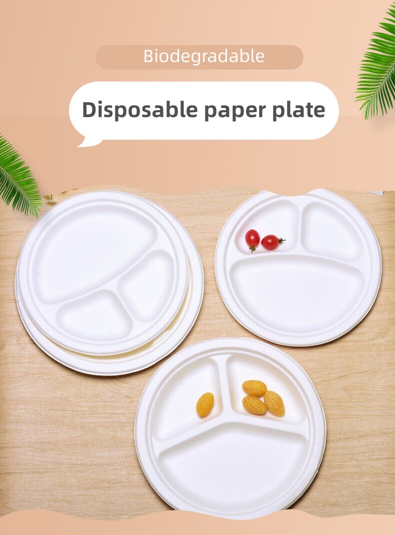 compartment paper plate