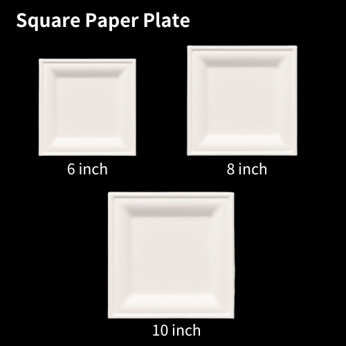 Biodegradable square sugarcane bagasse pulp paper plate