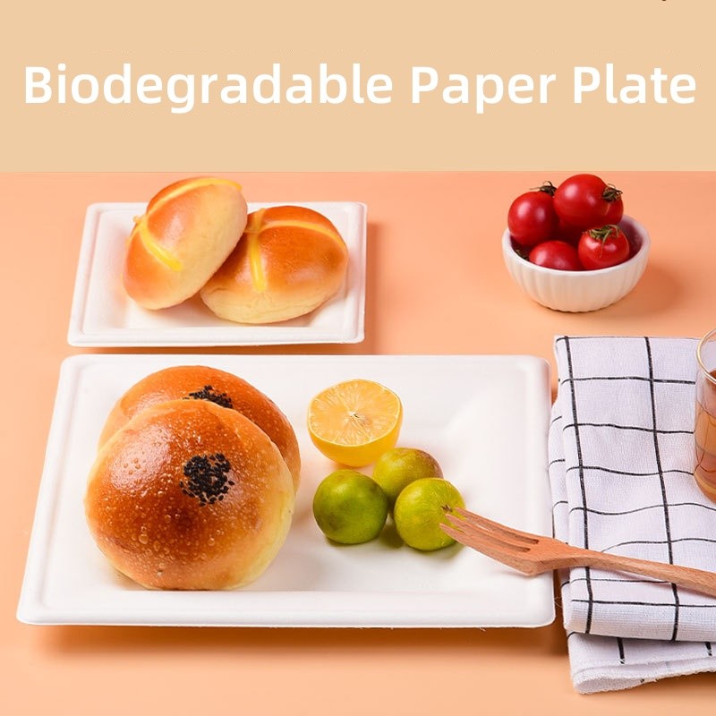 Biodegradable square sugarcane bagasse pulp paper plate