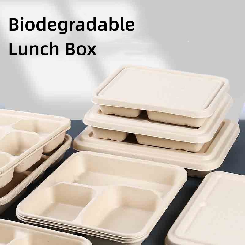 Disposable sugarcane bagasse pulp paper lunch box