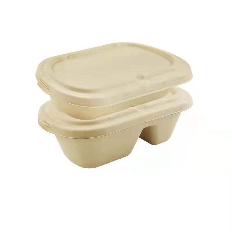 Compostable take away disposable compartment paper lunch box