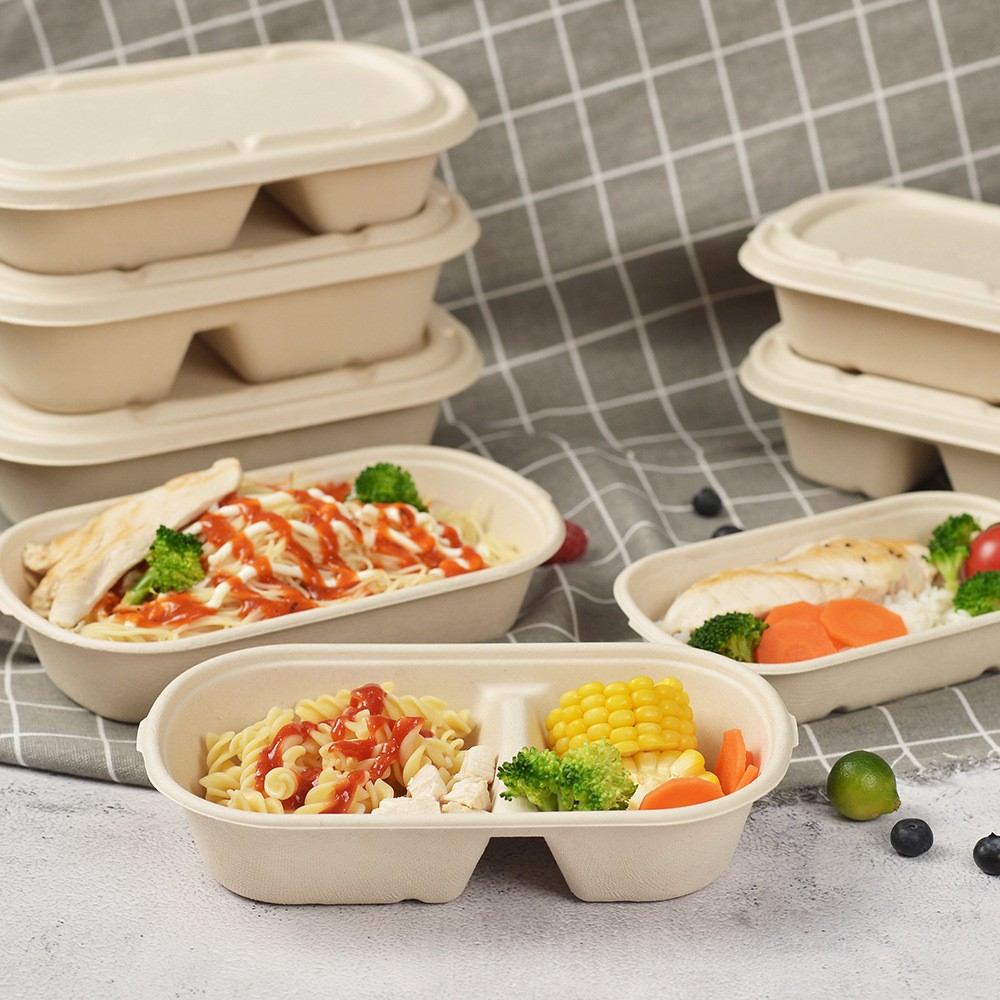 Compostable take away disposable compartment paper lunch box