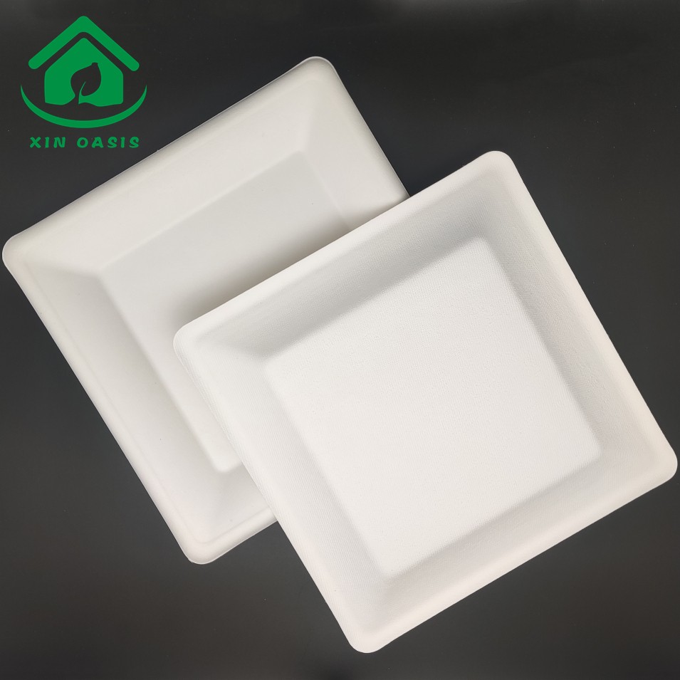 Biodegradable square sugarcane bagasse pulp paper plate