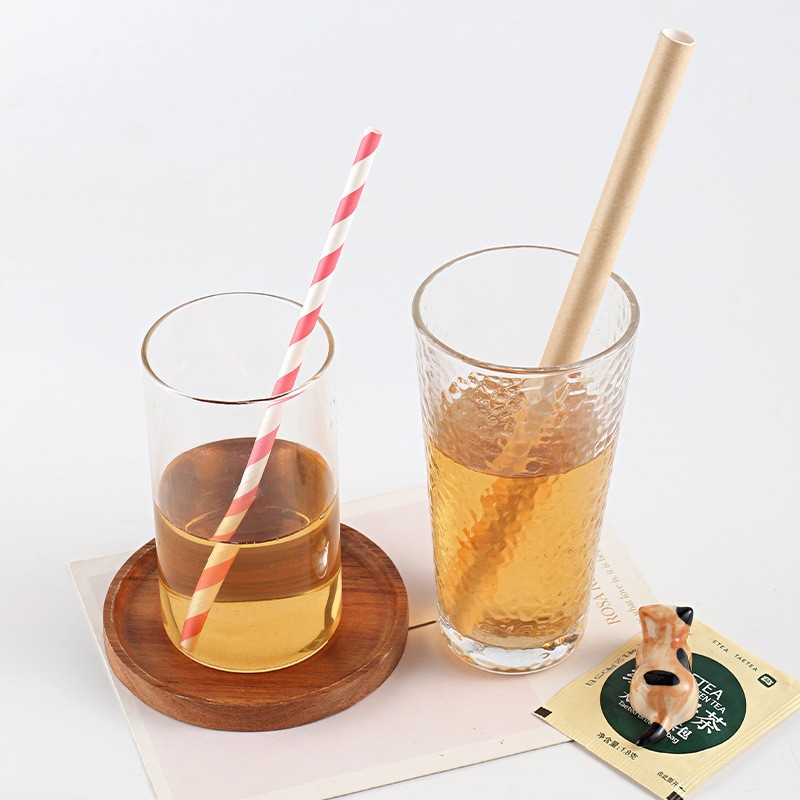 Eco-friendly compostable individually packaging paper straw