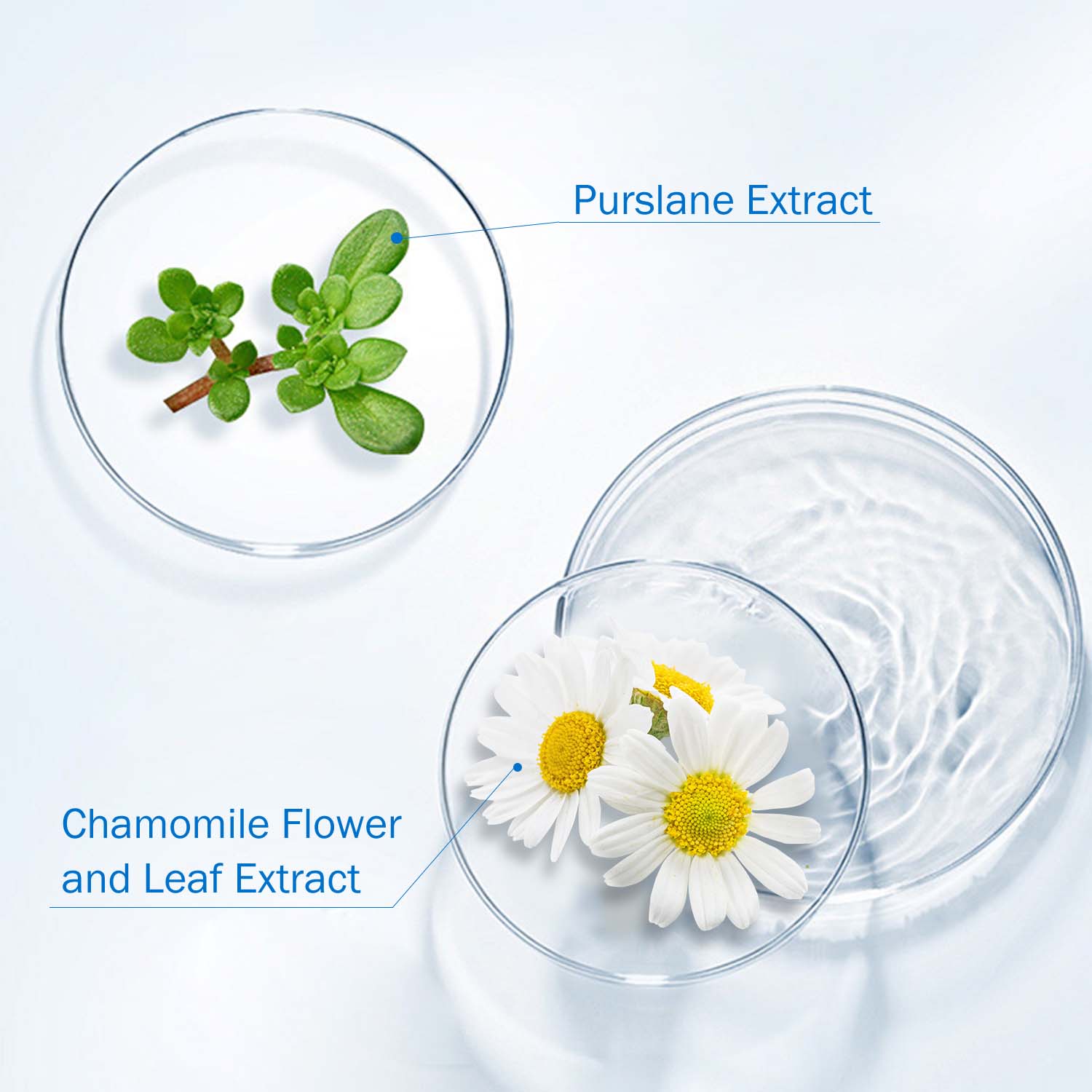 MANSI Soothing And Repairing Disposable Essence——Your portable skin guardian!