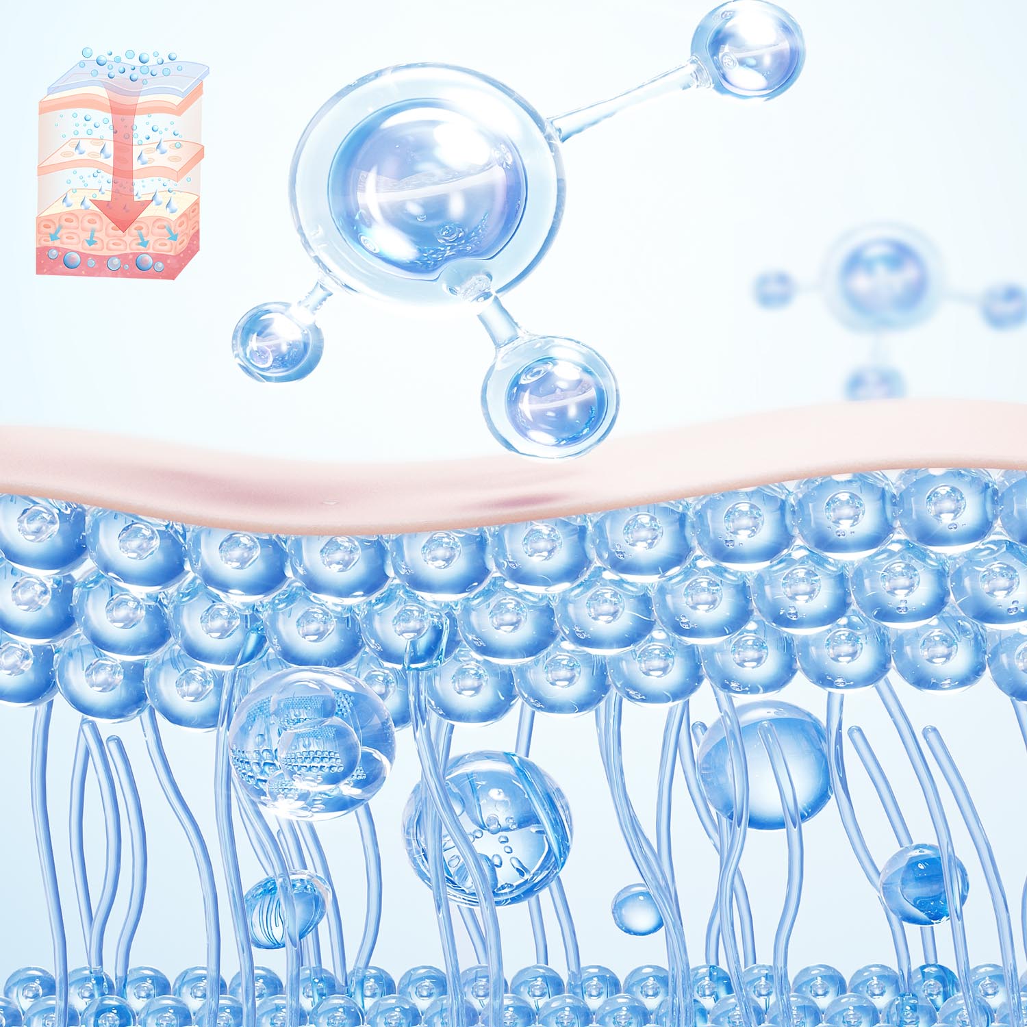 Unlock the secret of youthful skin and reveal a firmer and more radiant look!
