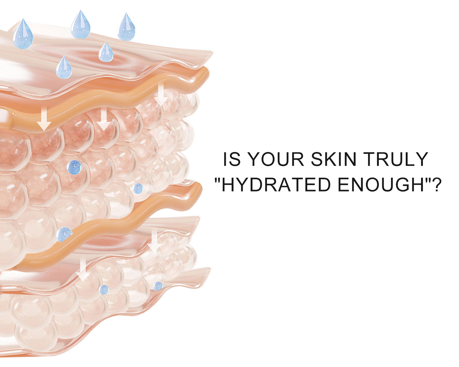 Is Your Skin Truly "Hydrated Enough"?