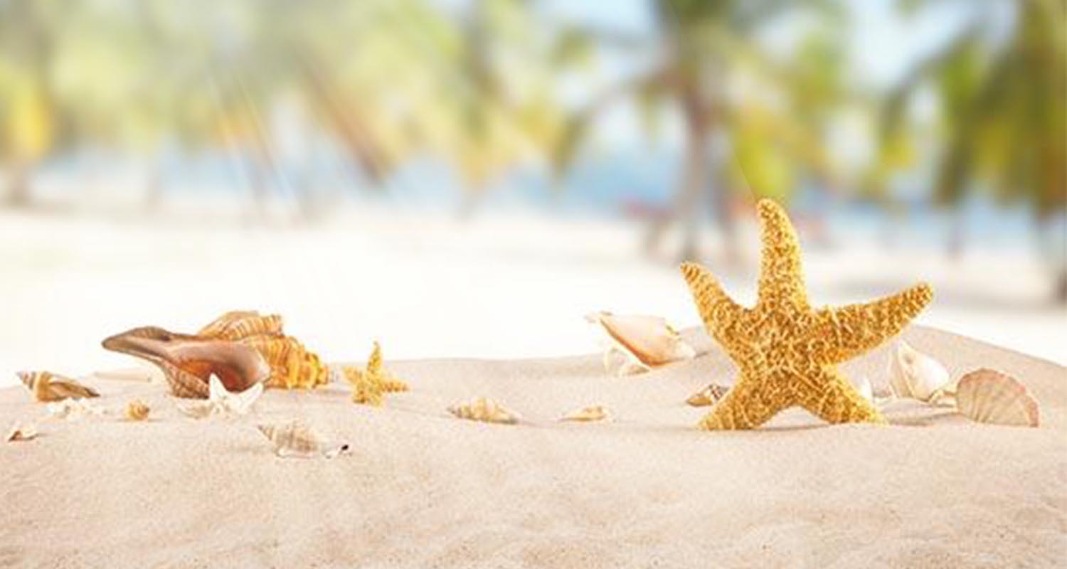 Uncover the “ultimate repairing power” of MANSI Clear Double Protection Sunscreen!