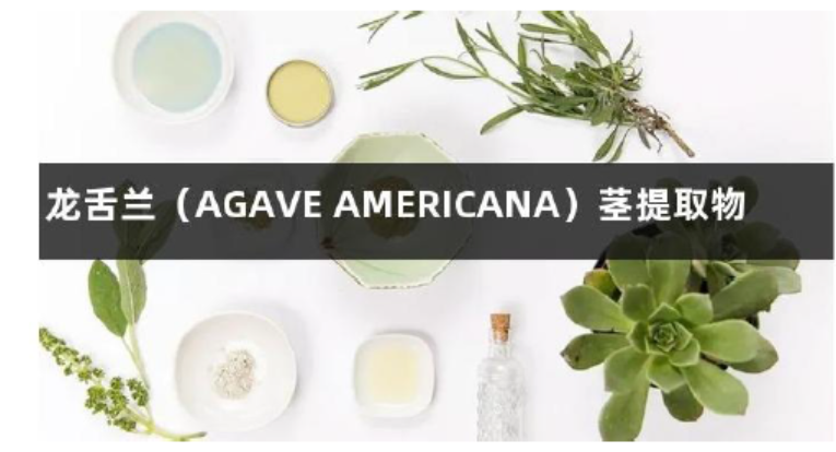 private label highly moisturizing jelly mask