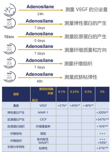 Clear And Steady State 〈Massage Water〉 bulk buyer