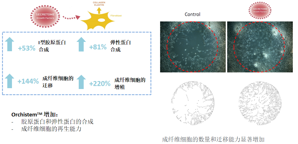 BEAYTIFUL PROCELAIN FEEL ESSENCE contract manufacturing