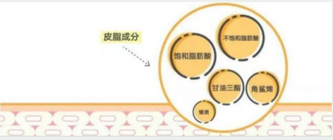 Squalane Essential Oil contract manufacturing