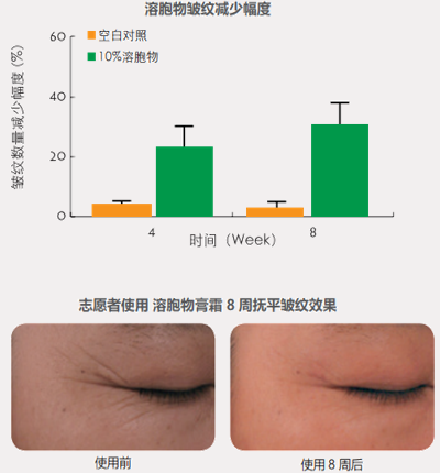 Rejuvenating And Firming Cream bulk buyer